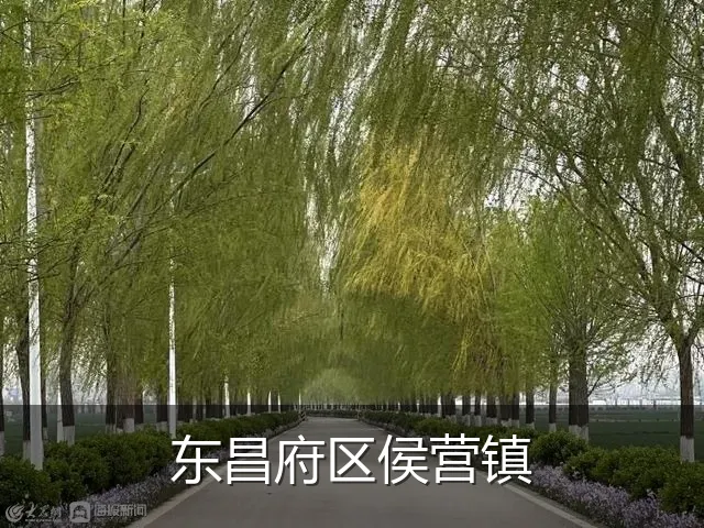 东昌府区侯营镇
