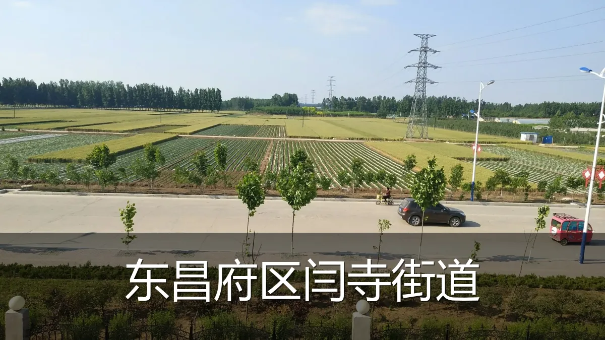东昌府区闫寺街道