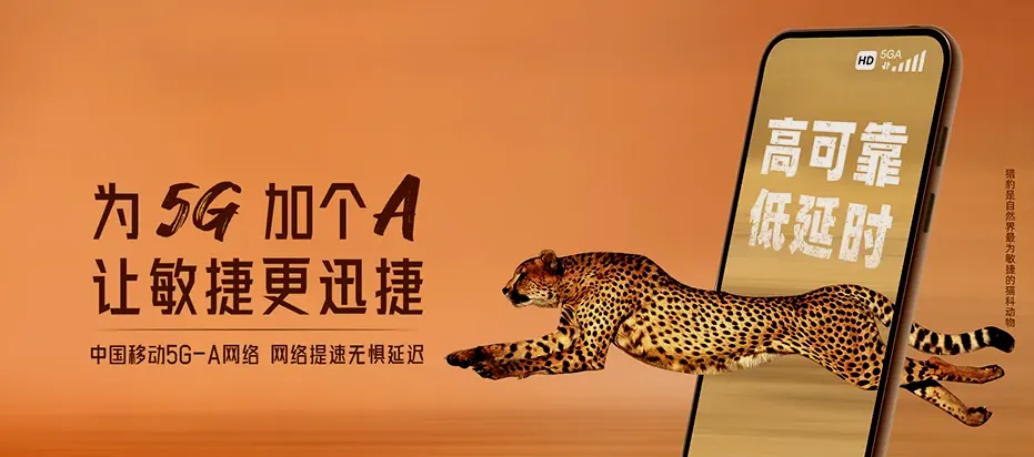 东昌府区东昌府区柳园街道 移动宽带